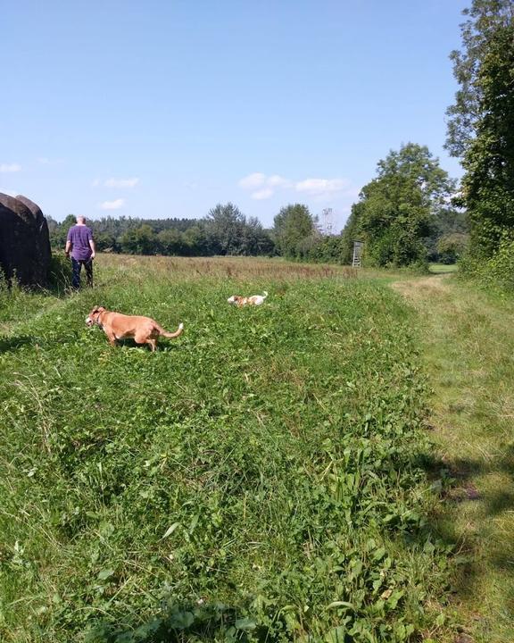 Herrmannsdorfer Landwerkstatten