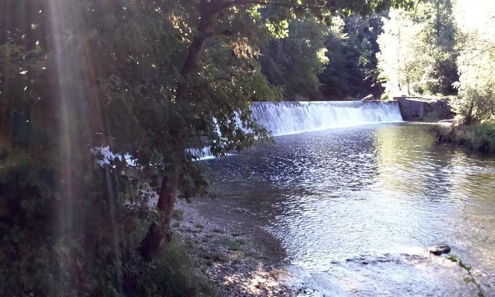 Schutzenwirt im Eichental